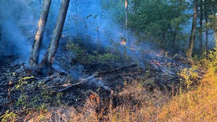 Hunedoara: Incendii de vegetație uscată în mai multe zone ale județului; peste 60 de hectare, afectate