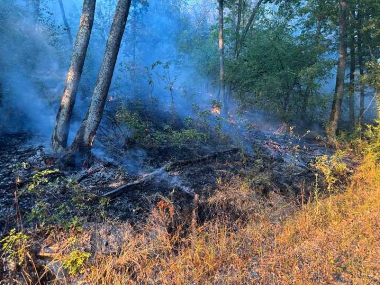 Hunedoara: Incendii de vegetație uscată în mai multe zone ale județului; peste 60 de hectare, afectate