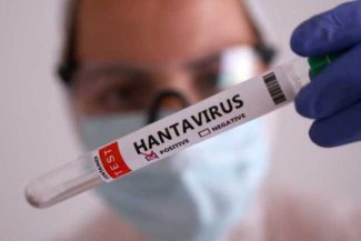 Hantavirus: Un turist care a tranzitat Franța, testat pozitiv; pacientul a fost plasat în izolare în Spania