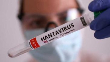 Hantavirus: Un turist care a tranzitat Franța, testat pozitiv; pacientul a fost plasat în izolare în Spania