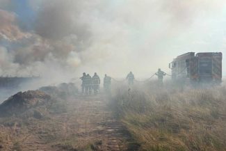 VIDEO Sibiu: Incendiu de vegetație pe aproximativ 50 de hectare, pe Valea Avrigului