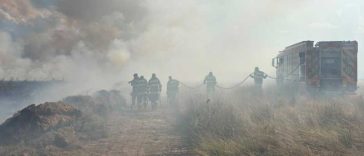 VIDEO Sibiu: Incendiu de vegetație pe aproximativ 50 de hectare, pe Valea Avrigului