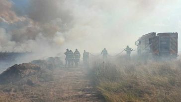 VIDEO Sibiu: Incendiu de vegetație pe aproximativ 50 de hectare, pe Valea Avrigului