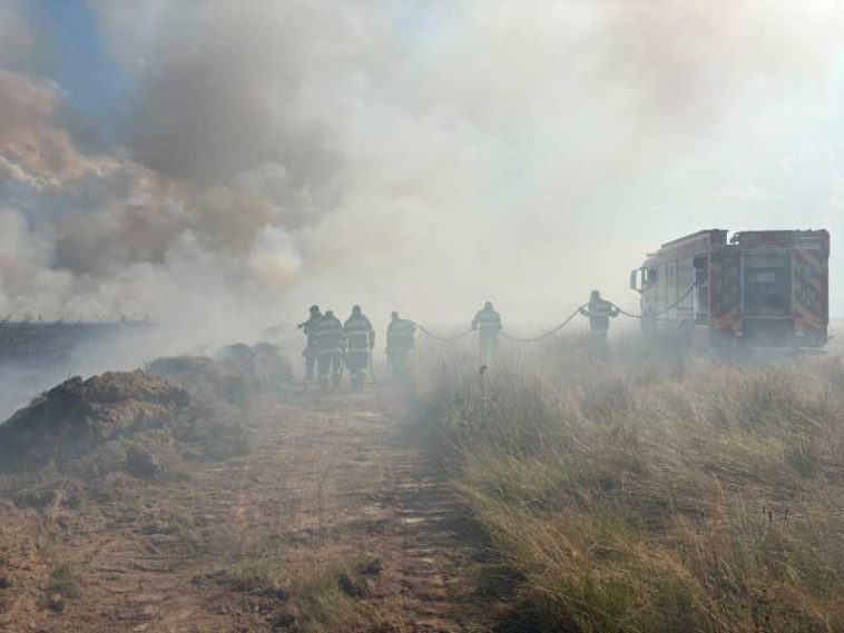 VIDEO Sibiu: Incendiu de vegetație pe aproximativ 50 de hectare, pe Valea Avrigului