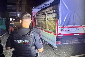 Bistrița-Năsăud: Transport ilegal de lemn, depistat de jandarmii de la Colibița pe un drum forestier