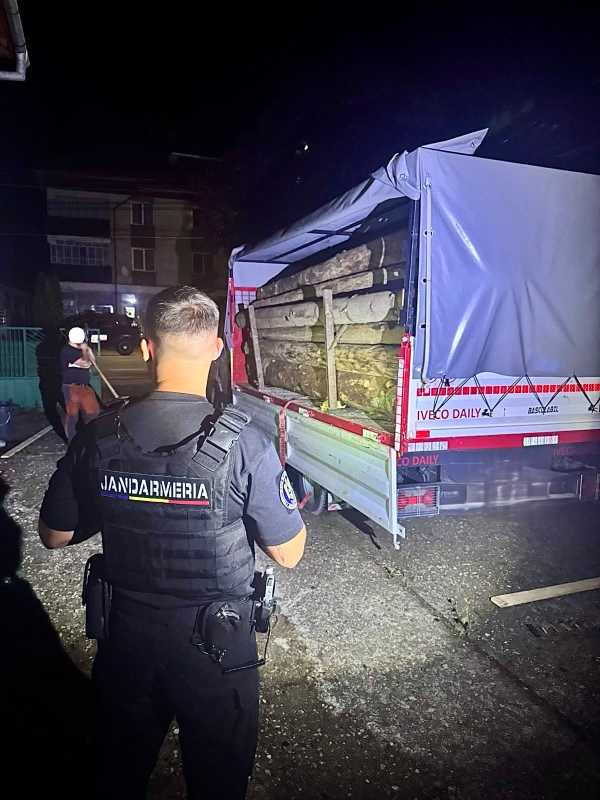 Bistrița-Năsăud: Transport ilegal de lemn, depistat de jandarmii de la Colibița pe un drum forestier