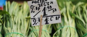Sistemul dual de prețuri din Bulgaria s-a încheiat în 8 august