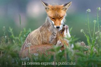Înscrierile pentru Salonul Național de Fotografie ‘Fotogeografica’ se pot face până pe 16 august