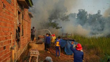 Indonezia/ Școli închise și mii de pompieri mobilizați pentru stingerea incendiilor forestiere