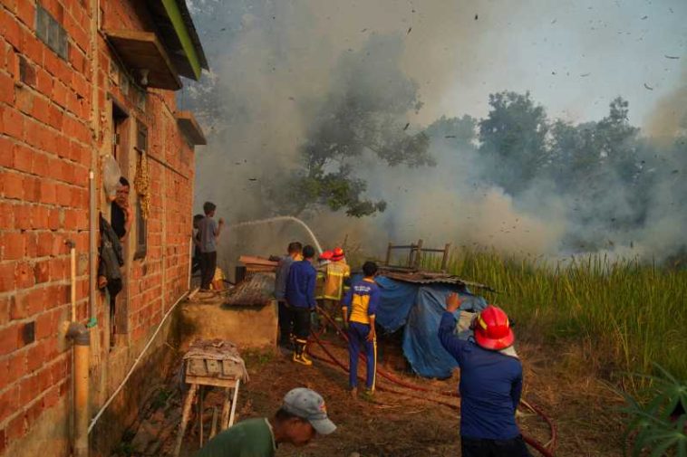 Indonezia/ Școli închise și mii de pompieri mobilizați pentru stingerea incendiilor forestiere