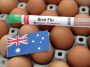 Australia va vaccina păsările împotriva tulpinii H5 a gripei aviare