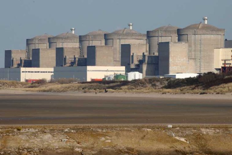 Meduzele au oprit trei reactoare ale unei centrale nucleare franceze