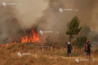 Grecia/incendii: Cel puțin 280 de persoane au fost arestate de la începutul acestui an