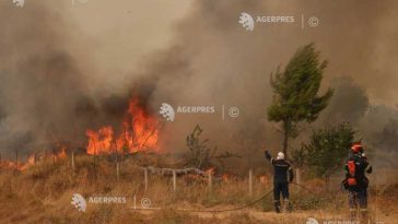 Grecia/incendii: Cel puțin 280 de persoane au fost arestate de la începutul acestui an
