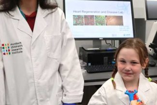 Cercetători australieni au obținut țesuturi valvulare cardiace din celule stem