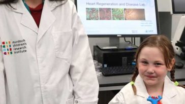 Cercetători australieni au obținut țesuturi valvulare cardiace din celule stem