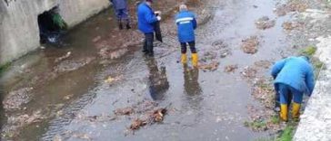 Mureș: Peste 300 de tone de aluviuni și deșeuri, extrase din pârâul care traversează reședința de județ