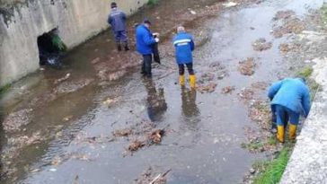 Mureș: Peste 300 de tone de aluviuni și deșeuri, extrase din pârâul care traversează reședința de județ