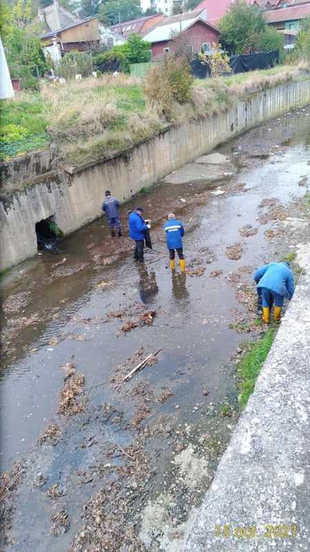 Mureș: Peste 300 de tone de aluviuni și deșeuri, extrase din pârâul care traversează reședința de județ