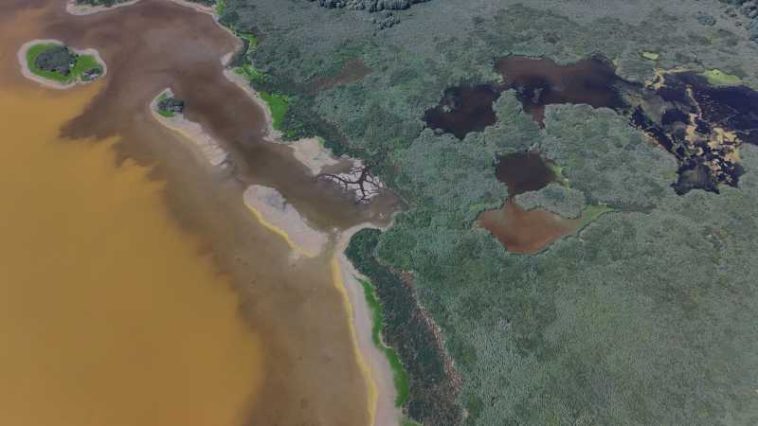 BTA: 1,8 milioane metri cubi de apă din Dunăre pompate în lacul Srebarna, situația hidrologică rămâne dificilă