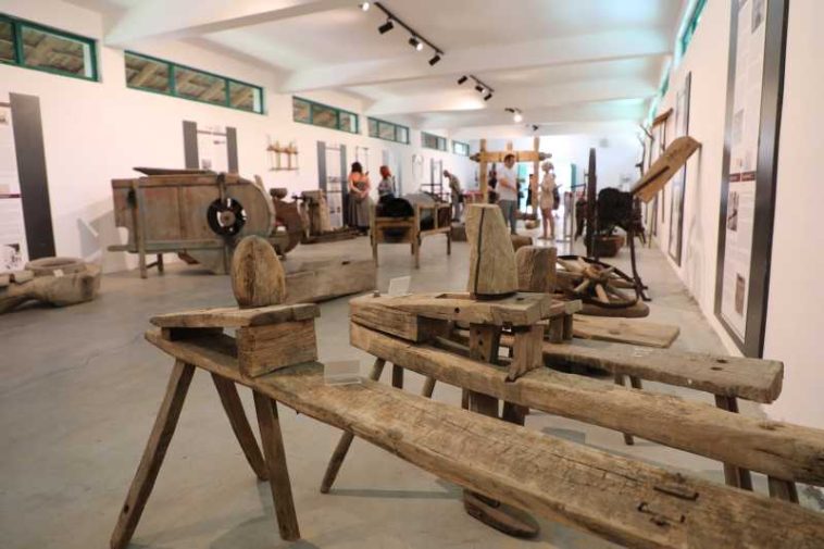 REPORTAJ Timiș: Țăranul a fost creatorul lumii civilizate – mesajul expoziției ‘Uneltele pământului din Banat’, la MSB