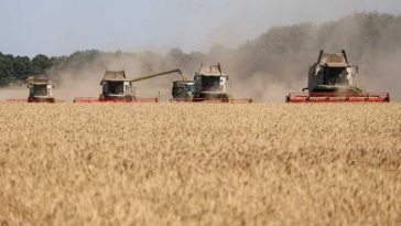 #Ucraina a cerut Uniunii Europene o subvenție de 220 de milioane de euro pentru agricultorii săi
