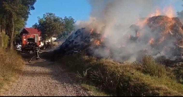 Botoșani: Aproximativ 40 de tone de furaje au ars într-un incendiu la Dumeni