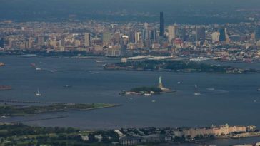 Revenirea balenelor în largul New Yorkului, amenințată de traficul maritim
