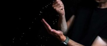 Fermierii germani cer ajutorul guvernului pentru a face față unei recolte de cereale ”dezamăgitoare”