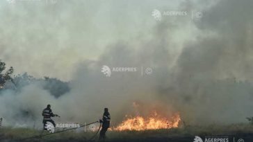 Giurgiu: Pompierii se deplasează în localități pentru a preveni populația cu privire la pericolul incendierii vegetației uscate, pe caniculă