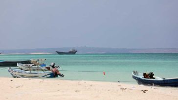 Yemen: Guvernul îi acuză pe rebelii houthi de pregătirea unei ofensive în apropierea Strâmtorii Bab el-Mandeb