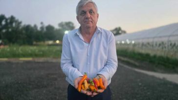 Buzău: BRGV va participa la Congresul Internațional de Horticultură-Kyoto cu cele mai iuți soiuri de ardei din colecție