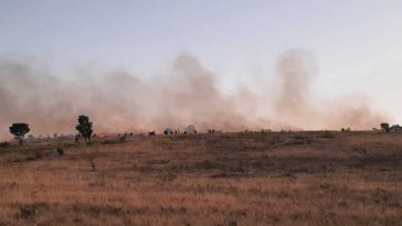 Caraș-Severin: Peste 300 de hectare de vegetație și fond forestier afectate de incendii