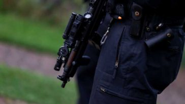 Germania: Arme de foc descoperite în apropiere de Berlin, serviciile secrete acuzând Moscova; suspect arestat în România (media)