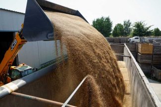 Cumpărătorii globali de grâu se pregătesc de o reducere a ofertei pe fondul atacurilor din Marea Neagră