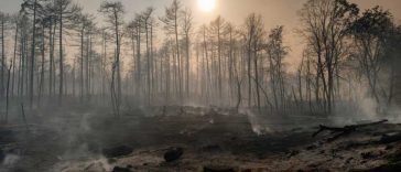 Atenționare de călătorie MAE: Serbia – incendii de vegetație