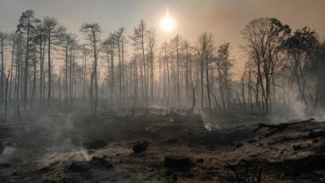 Atenționare de călătorie MAE: Serbia – incendii de vegetație