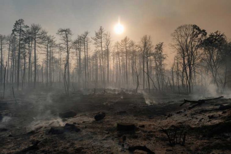 Atenționare de călătorie MAE: Serbia – incendii de vegetație