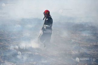 Sibiu: Incendiu în localitatea Târnava, pe o suprafață de 10 hectare