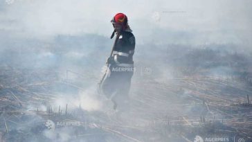 Sibiu: Incendiu în localitatea Târnava, pe o suprafață de 10 hectare