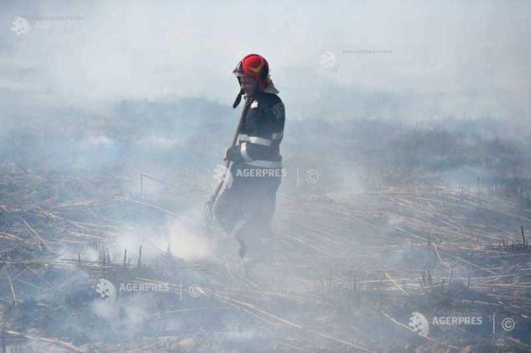 Sibiu: Incendiu în localitatea Târnava, pe o suprafață de 10 hectare