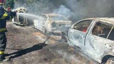 Mureș: Cinci mașini au fost afectate în urma unui incendiu de vegetație uscată, la Sighișoara