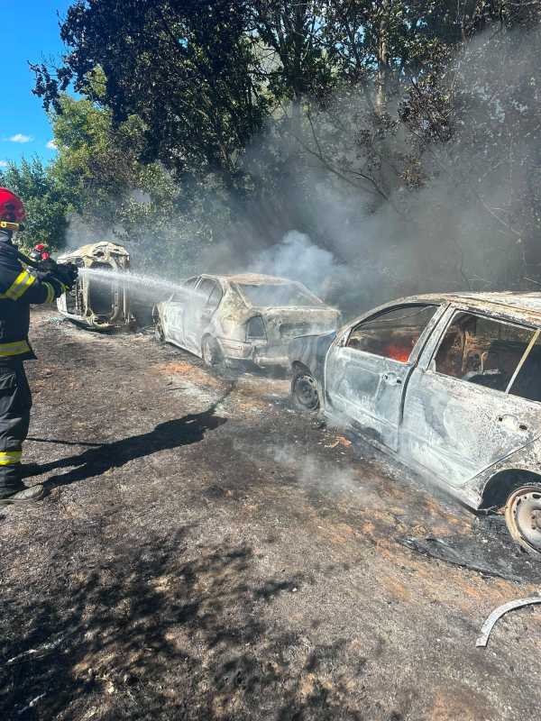 Mureș: Cinci mașini au fost afectate în urma unui incendiu de vegetație uscată, la Sighișoara