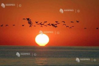 EFEMERIDE ASTRONOMICE – 24 august