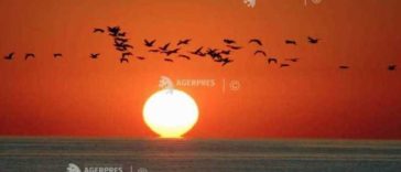 EFEMERIDE ASTRONOMICE – 24 august