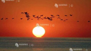 EFEMERIDE ASTRONOMICE – 24 august