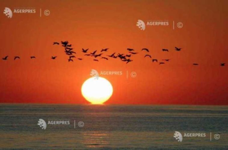EFEMERIDE ASTRONOMICE – 24 august