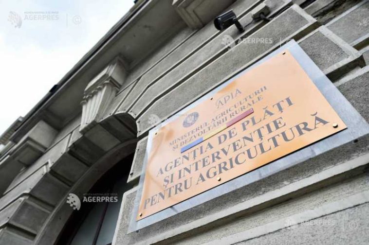 APIA plătește peste 49 de milioane de lei ajutor de stat în sectorul creșterii animalelor