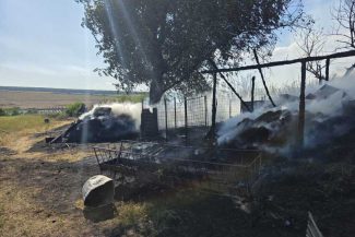 Botoșani: Animale moarte și furaje arse în urma unui incendiu în localitatea Sulița