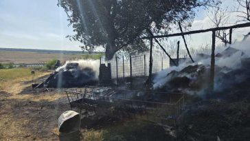 Botoșani: Animale moarte și furaje arse în urma unui incendiu în localitatea Sulița